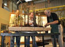 Bonsai West