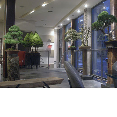 Bonsai West at DScale Boston