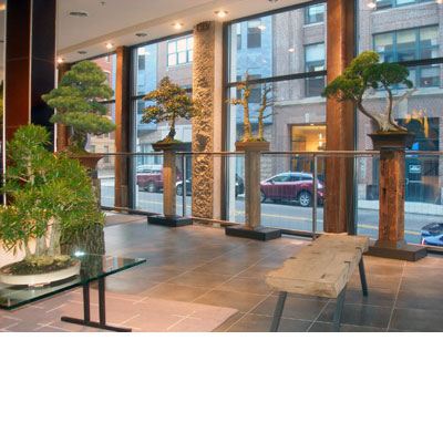 Bonsai West at DScale Boston