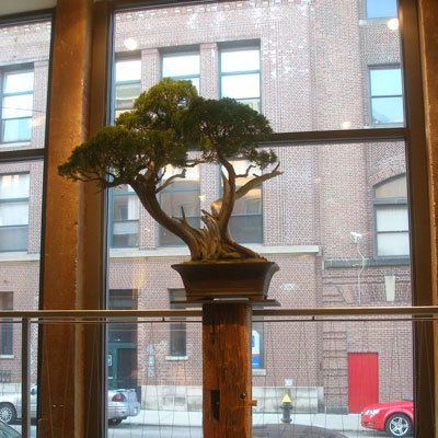 Bonsai West at DScale Boston