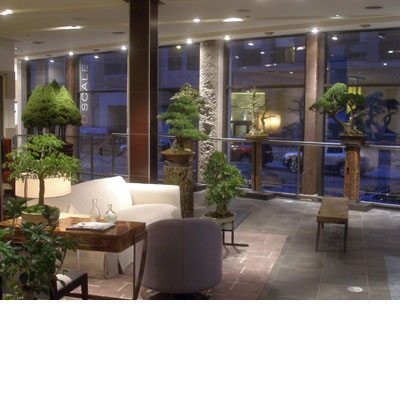 Bonsai West at DScale Boston